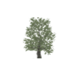 Tree Large
